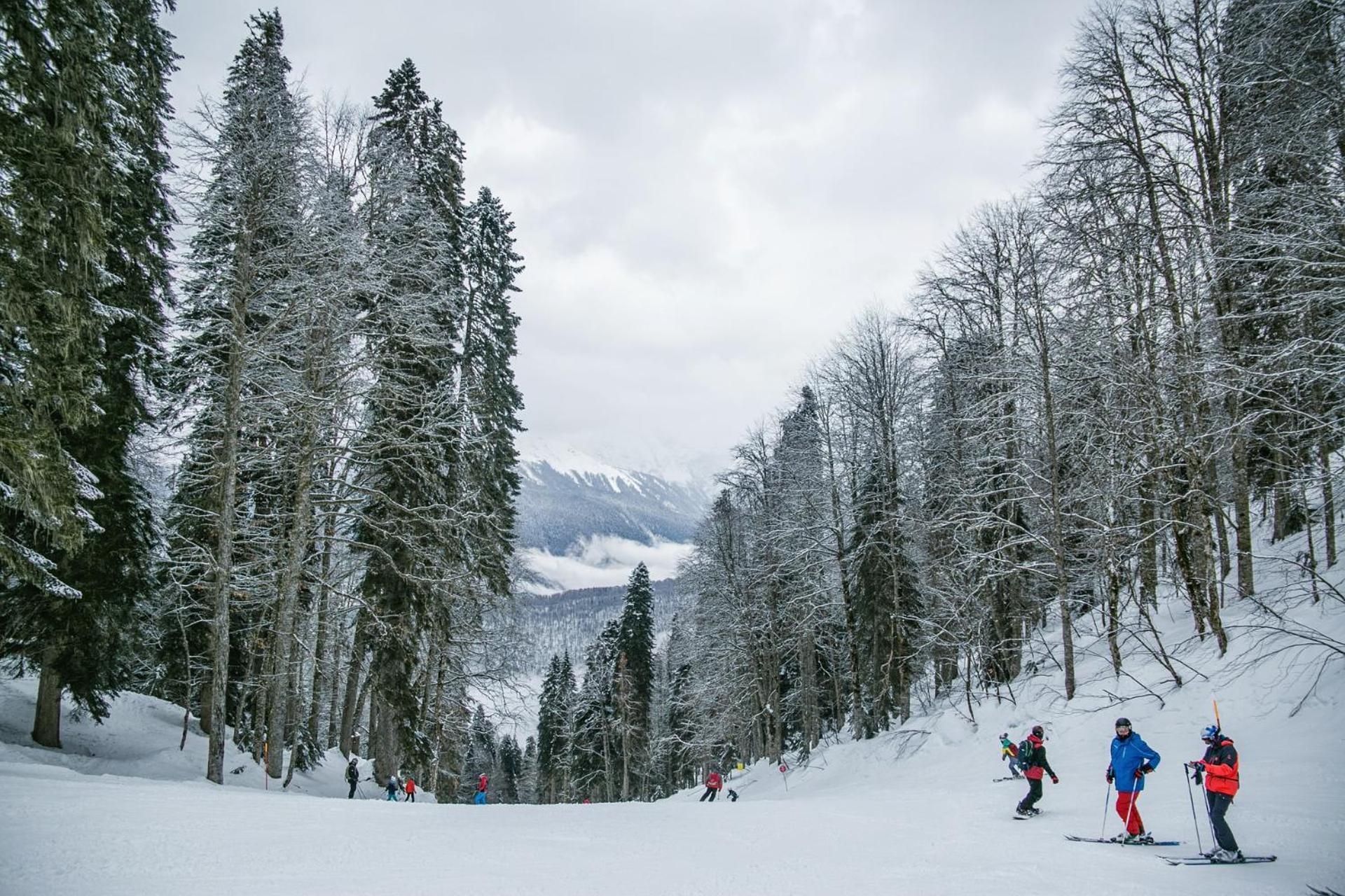 66M² Ferienwohnung "Moritz" - Direkt An Der Erlebniswelt & Skiarena Bis 4 Personen アイベンシュトック エクステリア 写真
